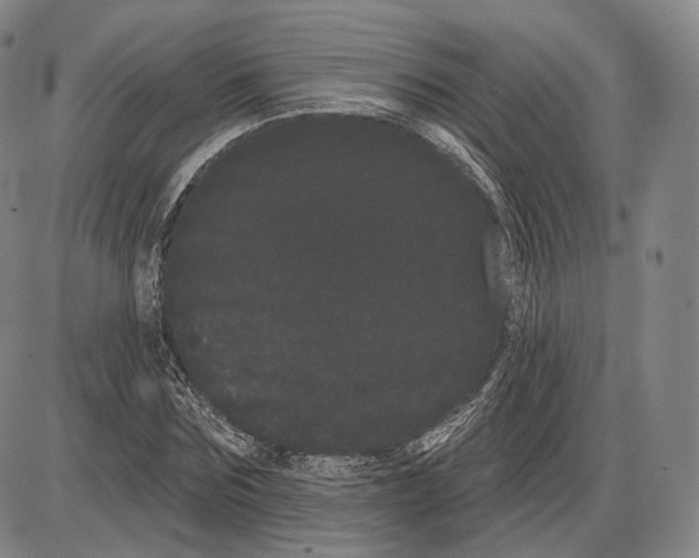 X0000085040875200704021251