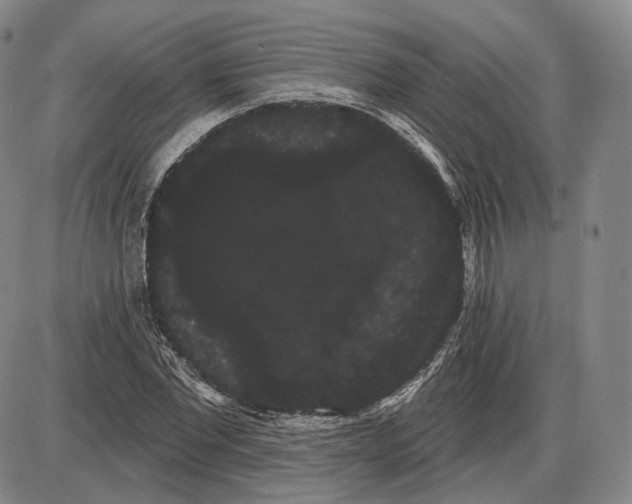 X0000085040877200704021251