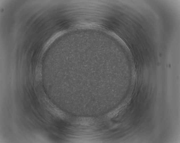 X0000085040878200704021251