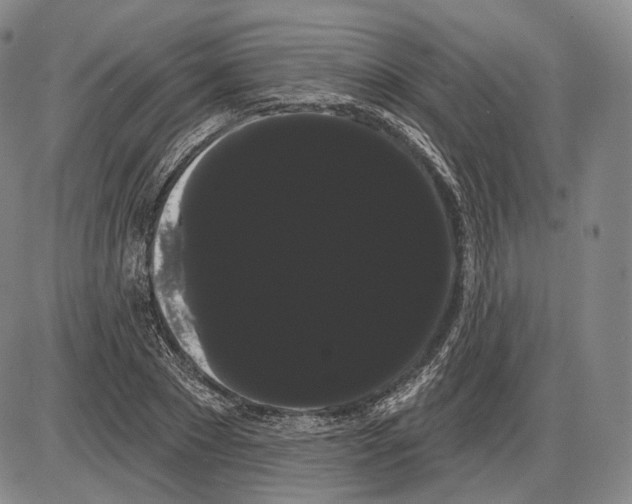 X0000085040881200704021251