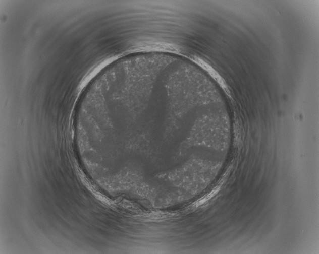 X0000085040885200704021251
