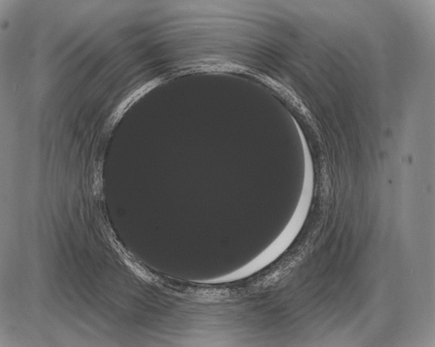 X0000085040889200704021251