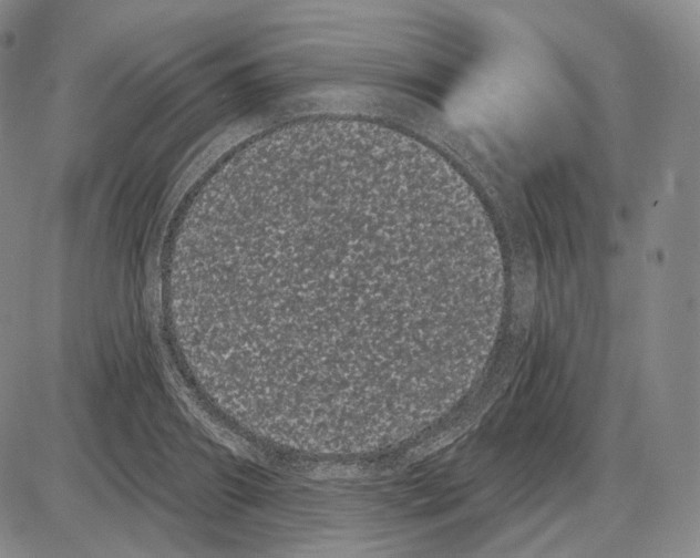 X0000085040890200704021251