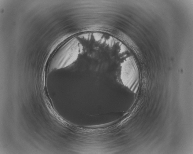 X0000085040892200704021251