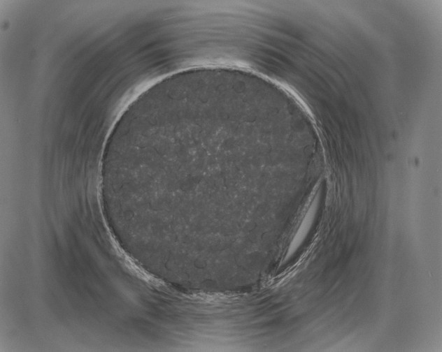 X0000085040895200704021251