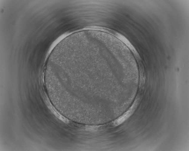 X0000085040908200704021250