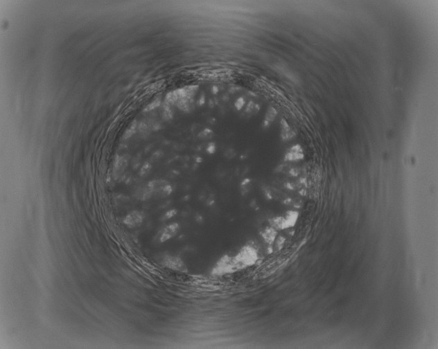 X0000085040913200704021249