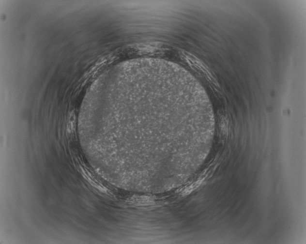 X0000085040914200704021250