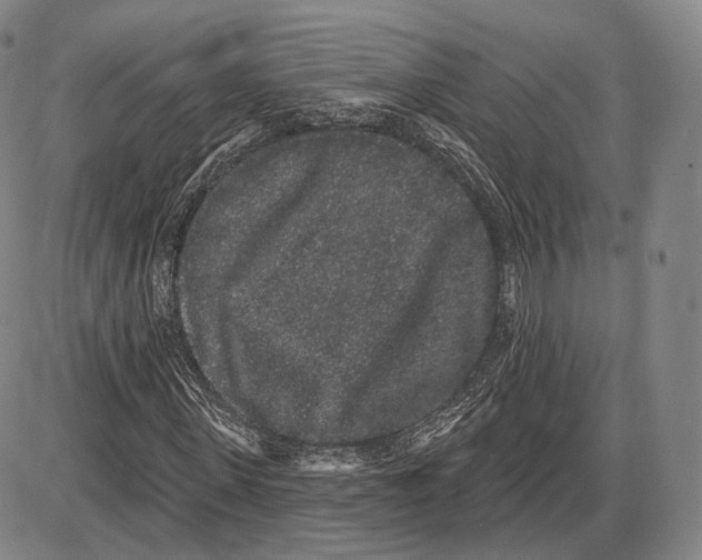 X0000085040915200704021250