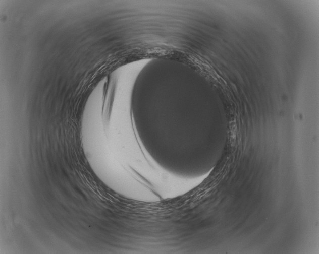 X0000085040916200704021250