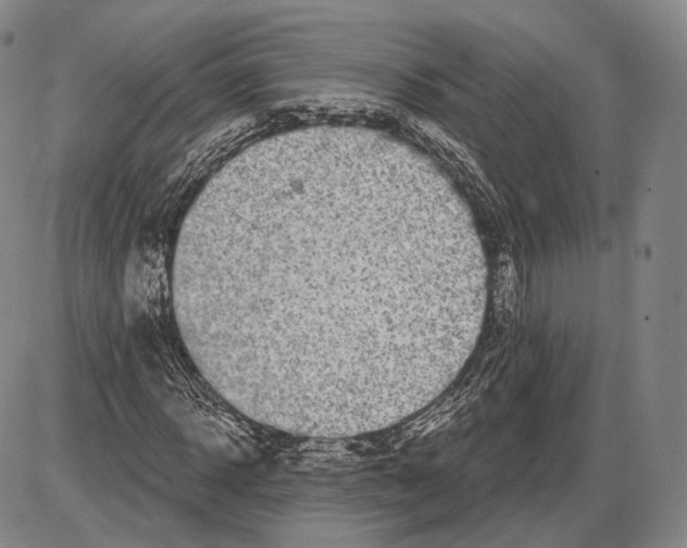 X0000085040918200704021250