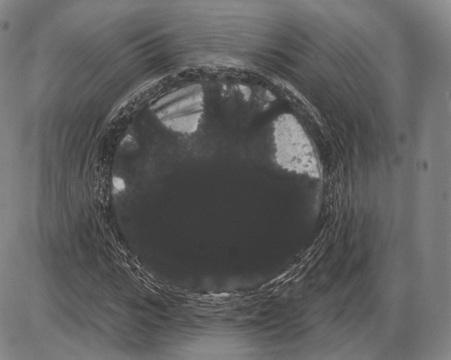 X0000085040919200704021250