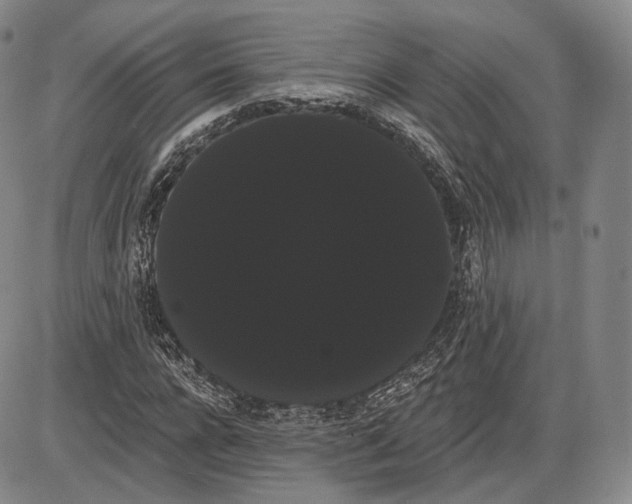 X0000085040920200704021250