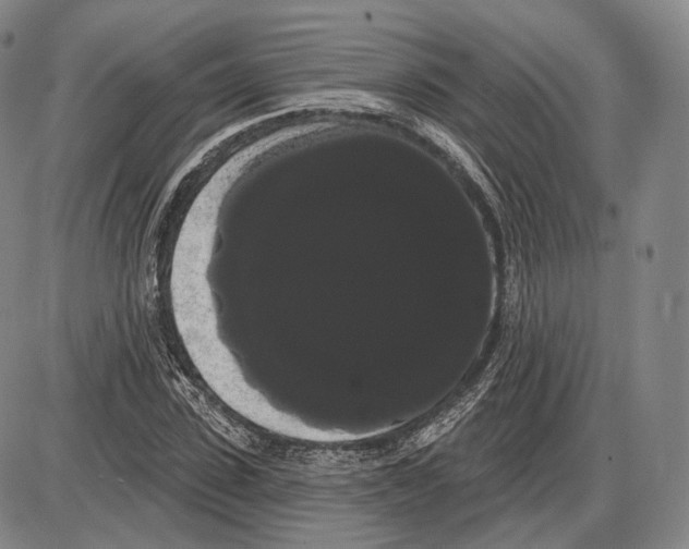 X0000085040923200704021250