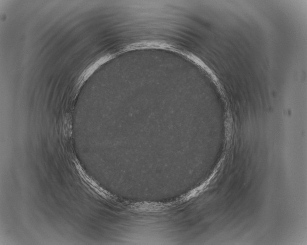 X0000085040929200704021250