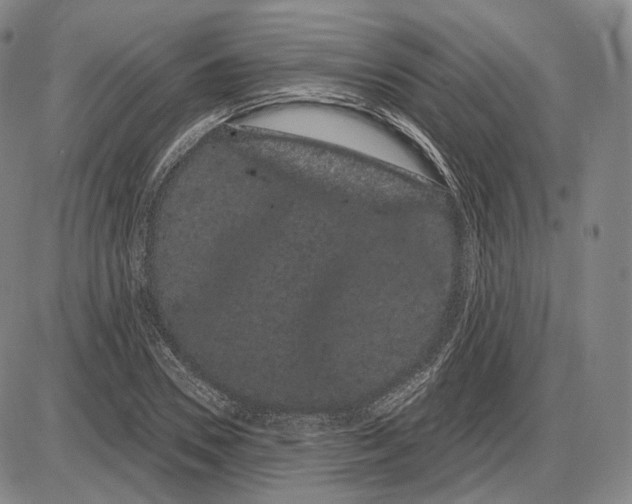 X0000085040930200704021250