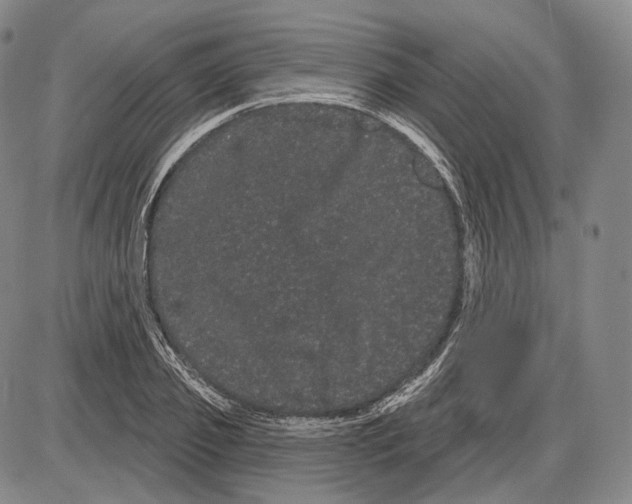 X0000085040933200704021250