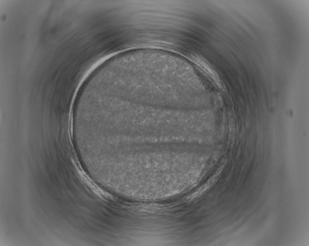 X0000085040940200704021250