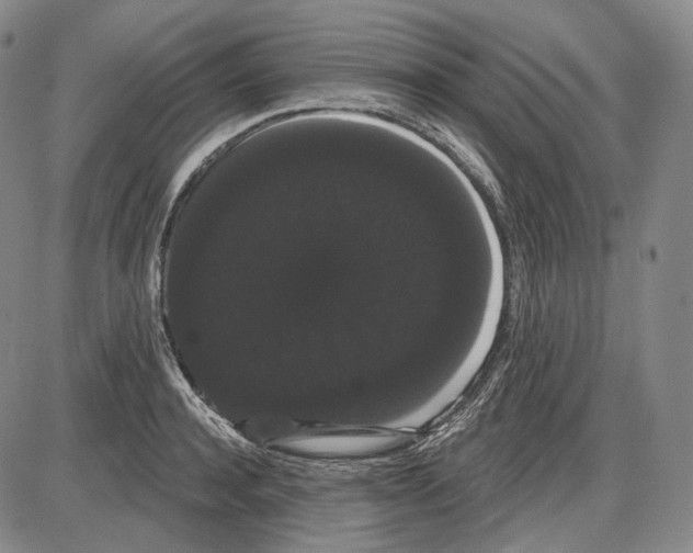X0000085040944200704021250