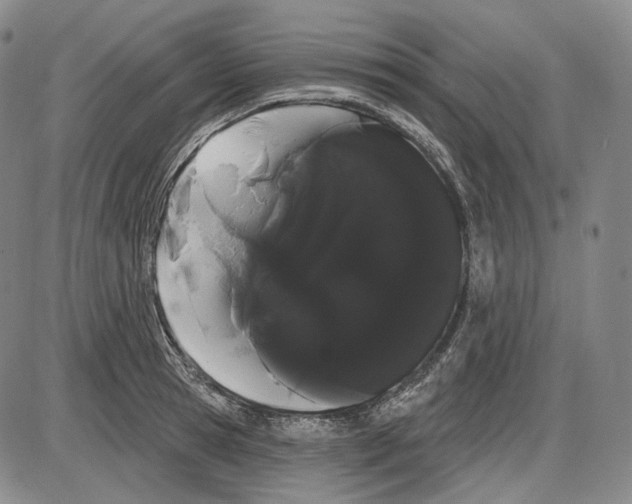 X0000085040945200704021250