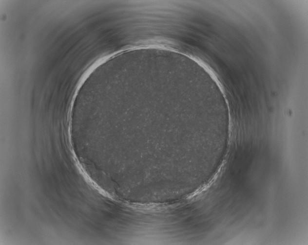 X0000085040949200704021250