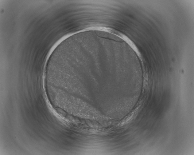 X0000085040955200704021250