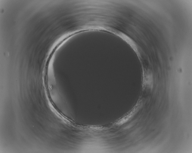 X0000085040958200704021250
