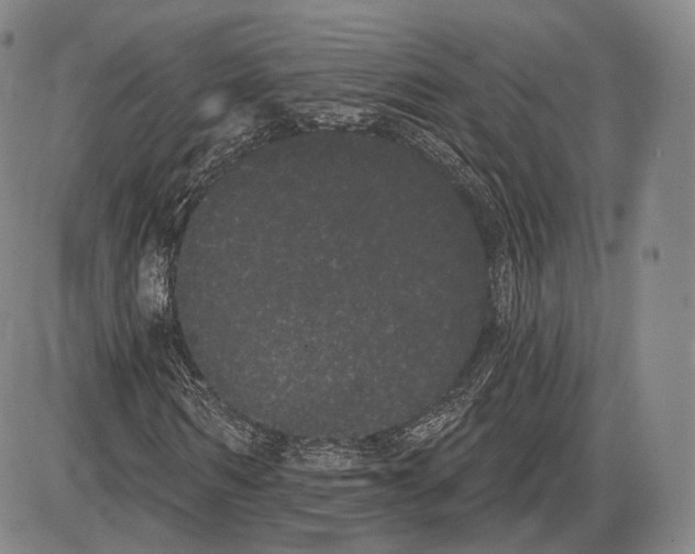 X0000085040962200704021249