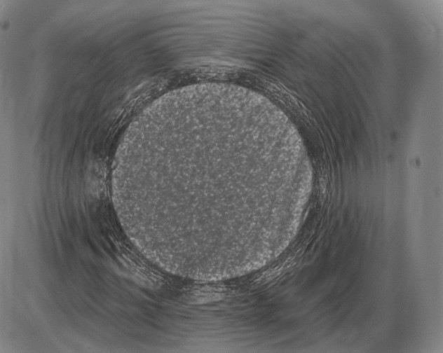 X0000085040964200704021249