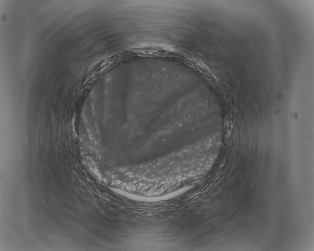 X0000085040965200704021249