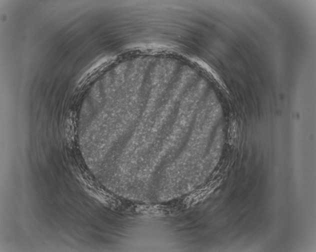X0000085040967200704021249