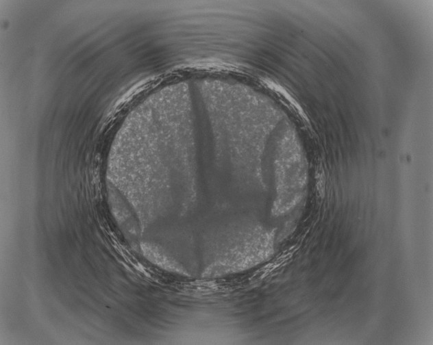 X0000085040968200704021249