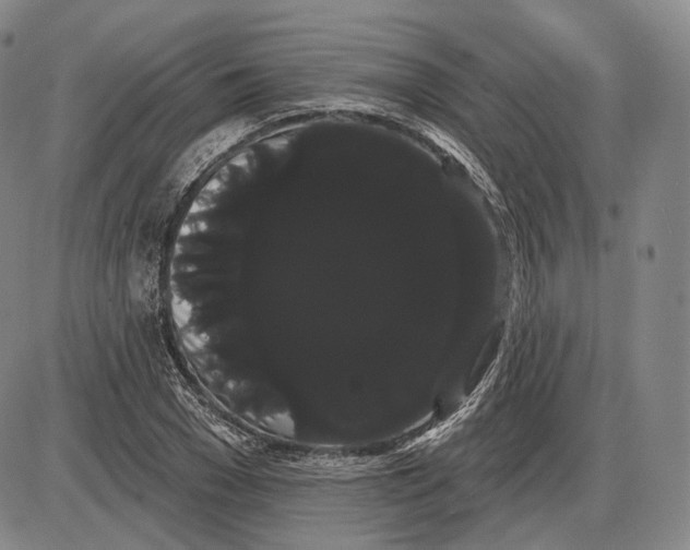 X0000085040977200704021249