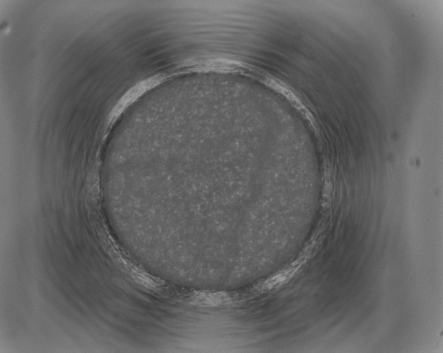 X0000085040978200704021249