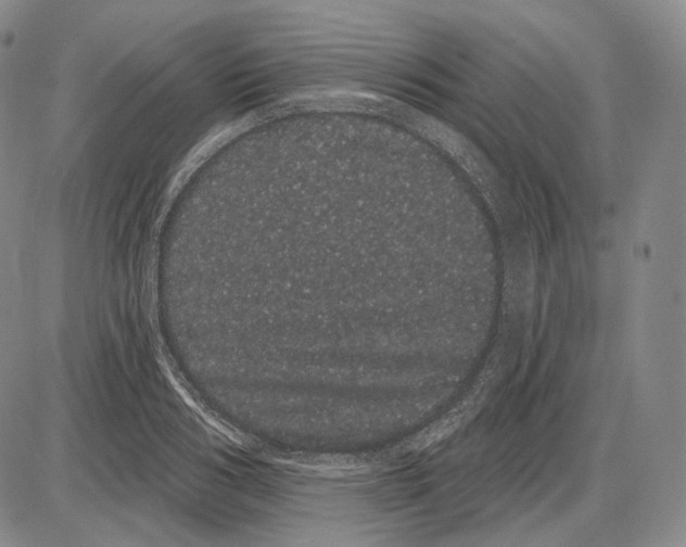 X0000085040986200704021249