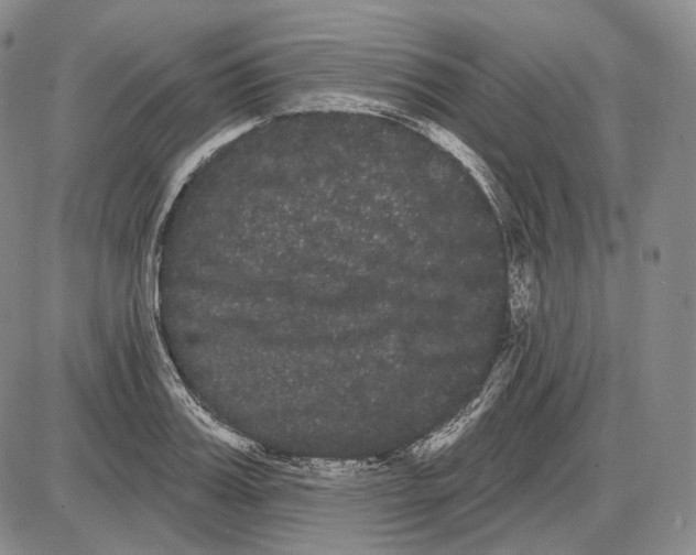 X0000085040987200704021249