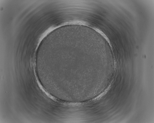 X0000085040989200704021249