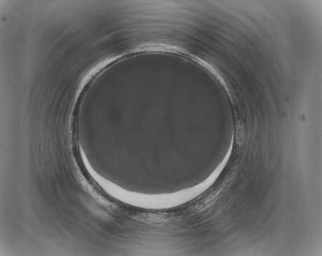 X0000085040995200704021249
