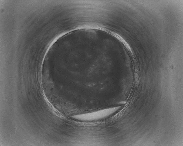 X0000085040996200704021249