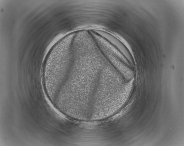 X0000085040997200704021249