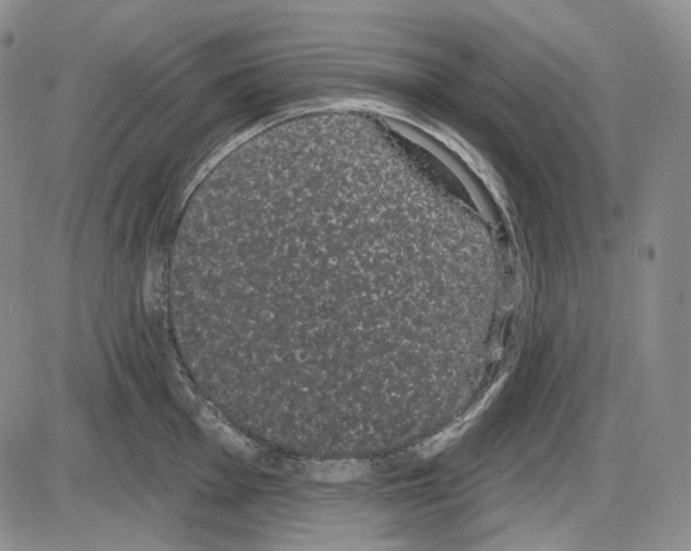 X0000085041001200704021249