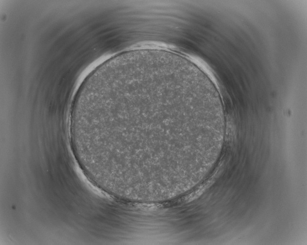 X0000085041003200704021249