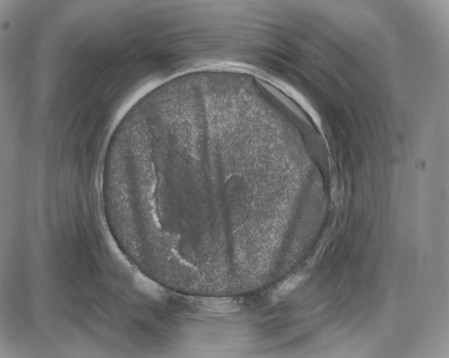 X0000085041007200704021249