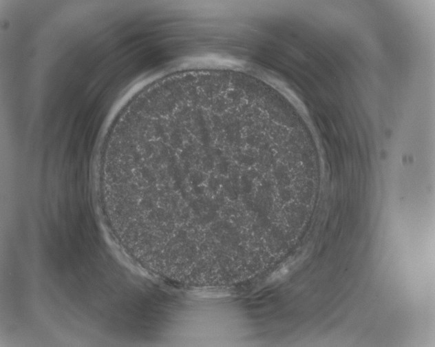 X0000085041008200704021249