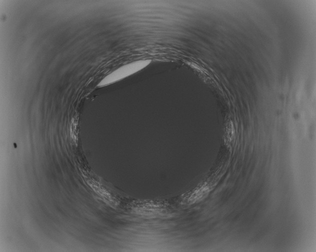 X0000085041010200704021248