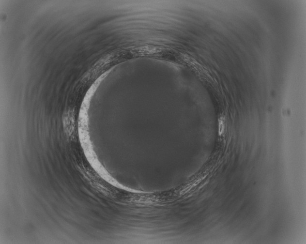 X0000085041011200704021248