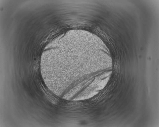 X0000085041012200704021248