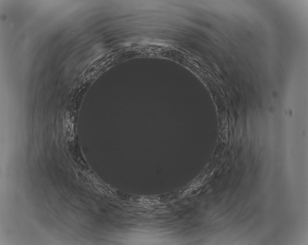 X0000085041013200704021248