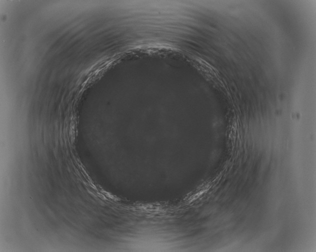 X0000085041014200704021248