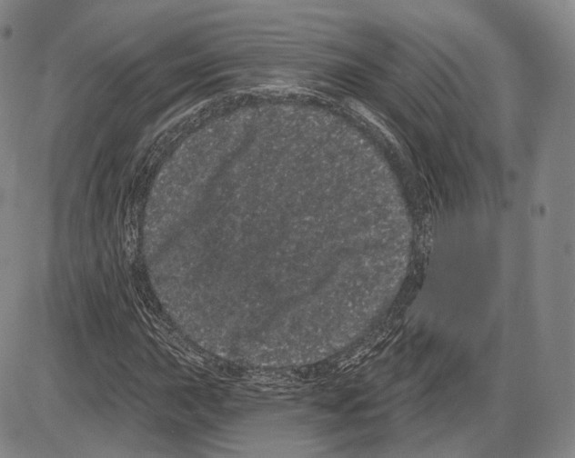 X0000085041015200704021248